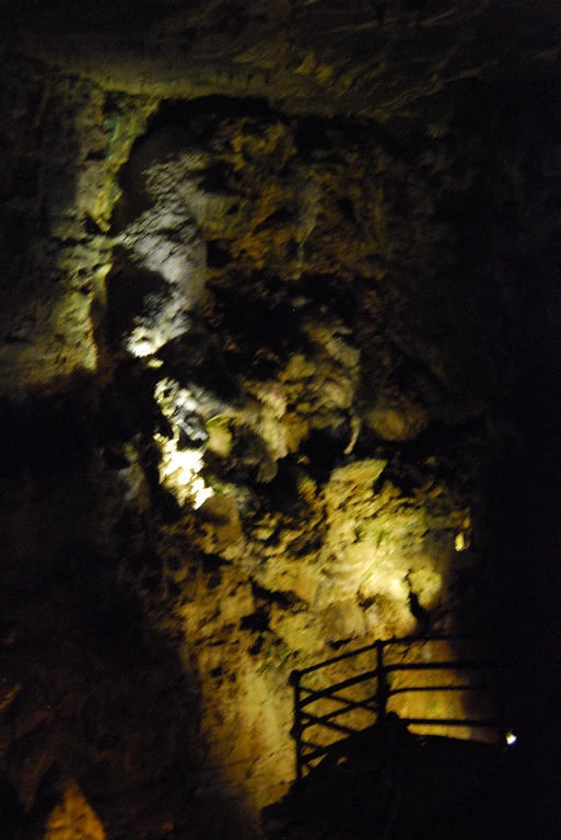 DSC_1158.JPG